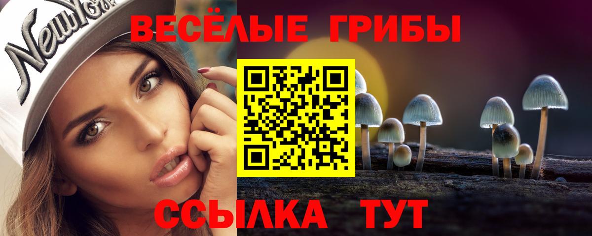 Псилоцибиновые грибы Cubensis  Вход с VPN  Нижневартовск 